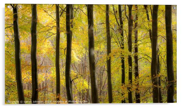Beech woodland autumn Acrylic by Simon Johnson