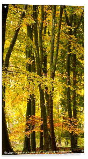 Beech woodland autumn  Acrylic by Simon Johnson