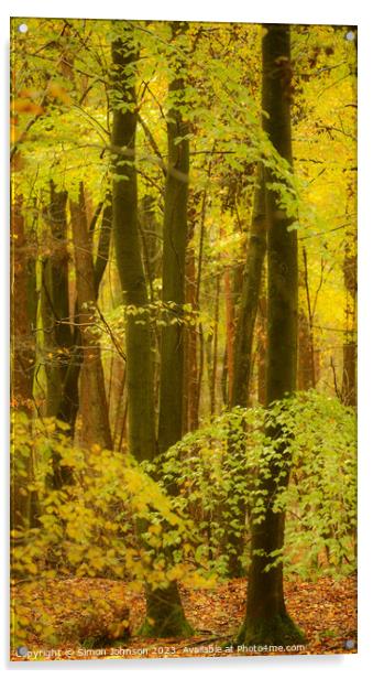 Beech Woodland  Acrylic by Simon Johnson