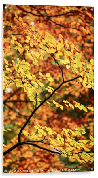 Autumnal beech leaves  Acrylic by Simon Johnson