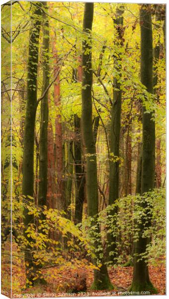 Beech woodland in autumn  Canvas Print by Simon Johnson