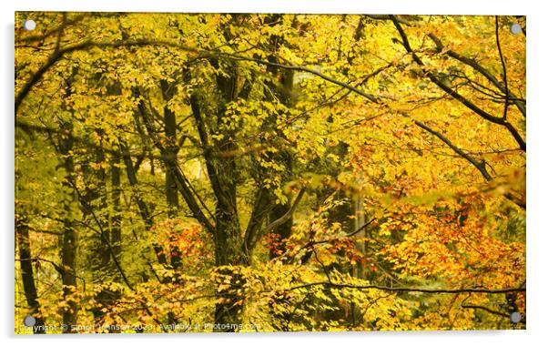 Autumn woodland canopy  Acrylic by Simon Johnson