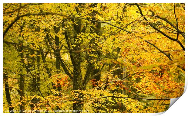 Autumn woodland canopy  Print by Simon Johnson