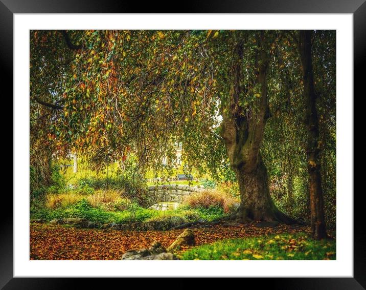 Park in Autumn  Framed Mounted Print by Victor Burnside