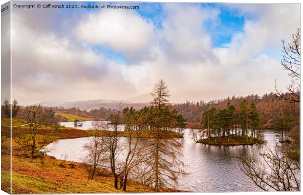 Autumn at Tarn Hows Canvas Print by Cliff Kinch