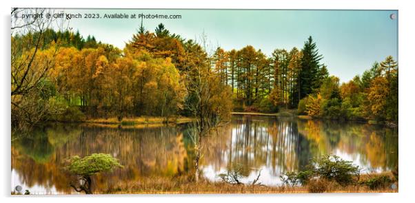 Autumn at Moss Eccles Tarn Acrylic by Cliff Kinch