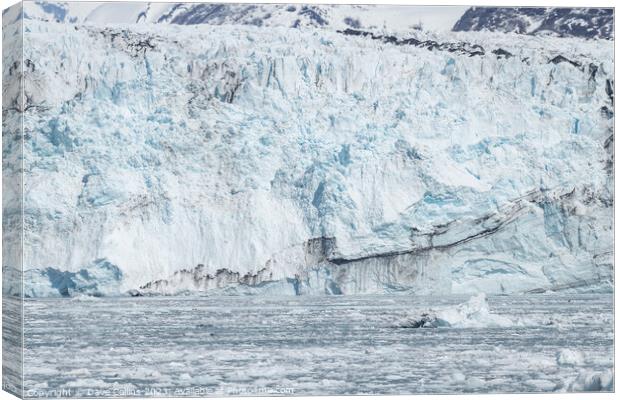 Harvard Tidewater Glacier at the end of College Fjord, Alaska, USA Canvas Print by Dave Collins