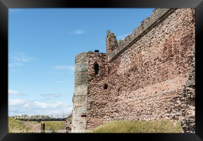 The remains of the west wall of Tantallon Castle, North Berwick, East Lothian, Scotland Framed Print by Dave Collins