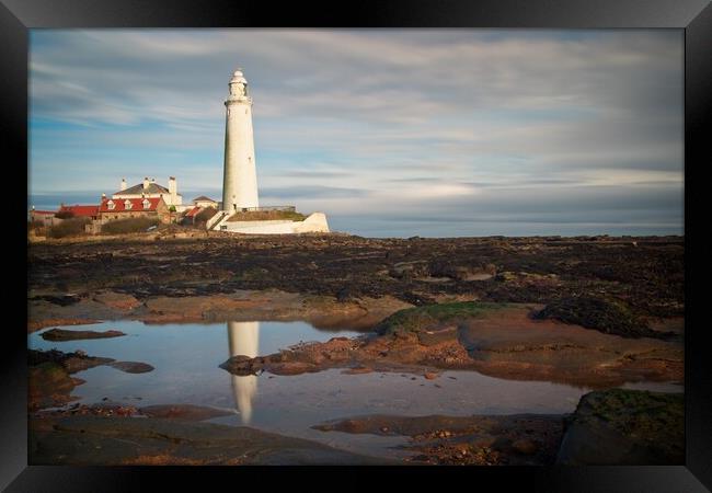 St Marys Lighthouse, Whitley Bay Framed Print by Rob Cole