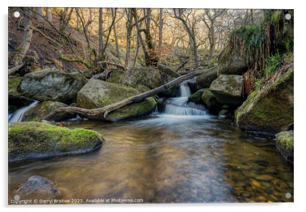 Burbage Brook through Padley Gorge Acrylic by Darryl Bristow