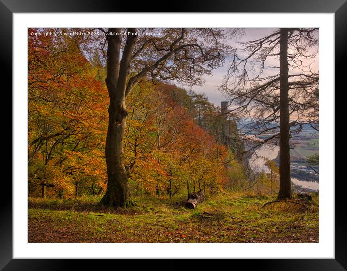Autumn Colours and Kinnoull Hill  Framed Mounted Print by Navin Mistry