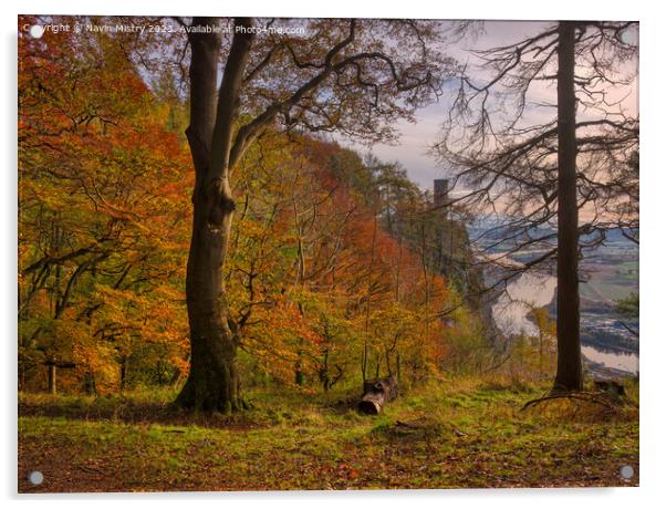 Autumn Colours and Kinnoull Hill  Acrylic by Navin Mistry