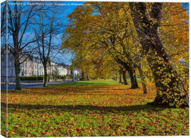 Autumn and the South Inch, Perth Canvas Print by Navin Mistry