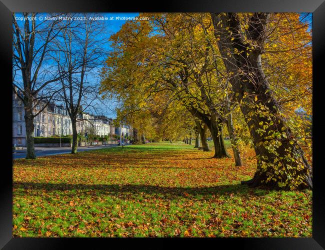 Autumn and the South Inch, Perth Framed Print by Navin Mistry