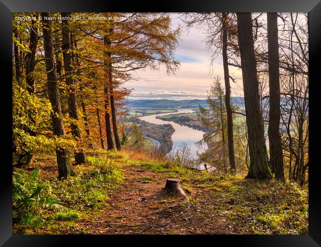 Kinnoull Hill View Point  Framed Print by Navin Mistry
