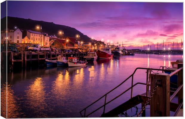 Dawn at Scarborough Harbour Canvas Print by Tim Hill