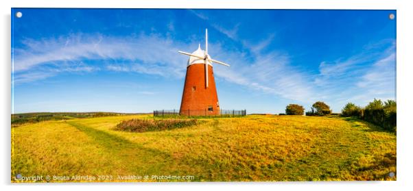Halnaker Windmill Acrylic by Beata Aldridge