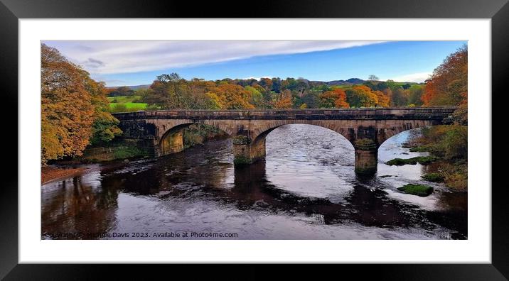 Crook o' Lune Autumn Framed Mounted Print by Michele Davis