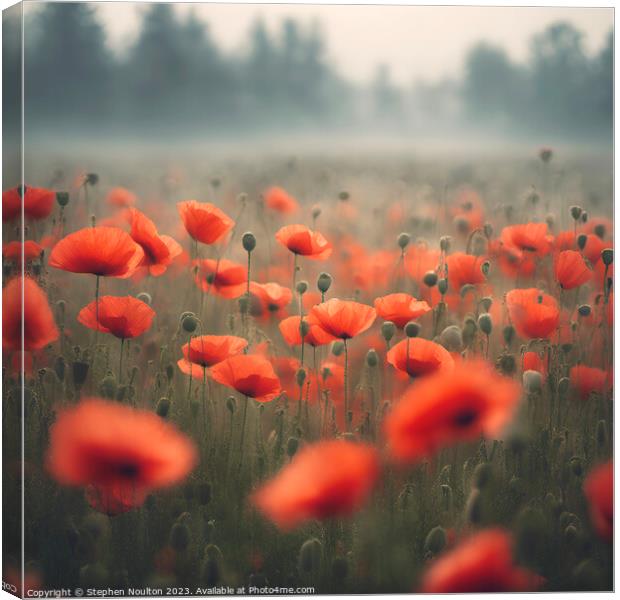 Poppies in the mist  Canvas Print by Stephen Noulton