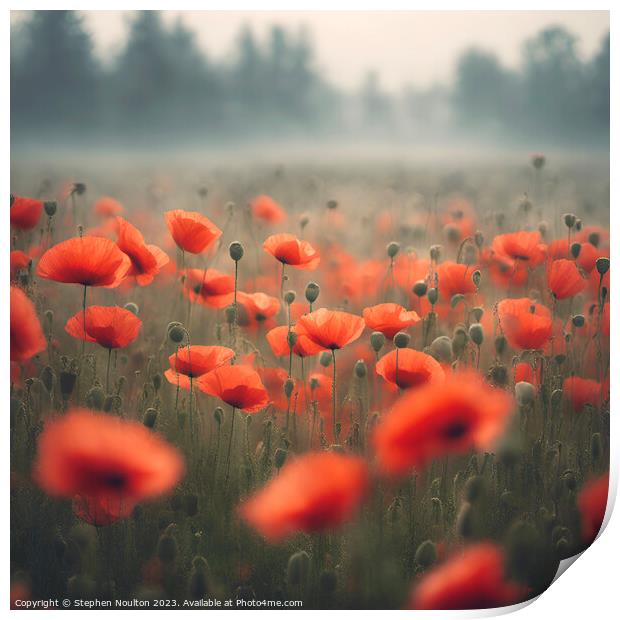 Poppies in the mist  Print by Stephen Noulton