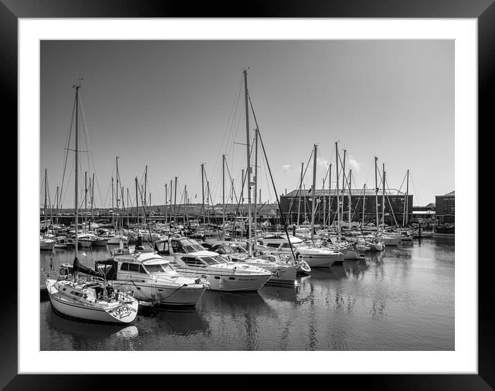 Milford Marina, Milford Haven, Pembrokeshire. Framed Mounted Print by Colin Allen