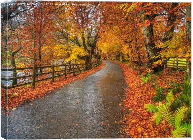 Autumn and the Road through Glen Lyon Canvas Print by Navin Mistry