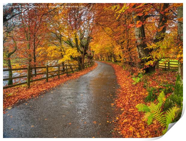 Autumn and the Road through Glen Lyon Print by Navin Mistry