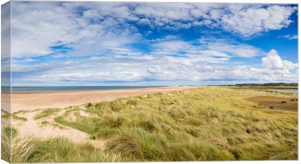 Sand dunes line the beach at Titchwell Canvas Print by Jason Wells