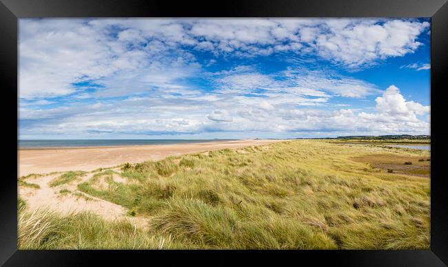 Sand dunes line the beach at Titchwell Framed Print by Jason Wells
