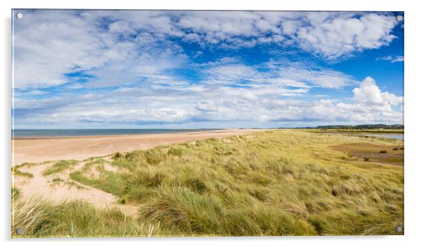 Sand dunes line the beach at Titchwell Acrylic by Jason Wells