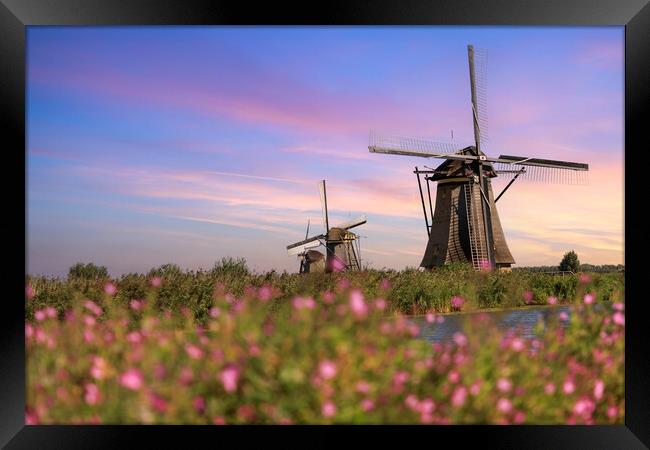 Windmill in Kinderdijk, Holland Framed Print by Olga Peddi