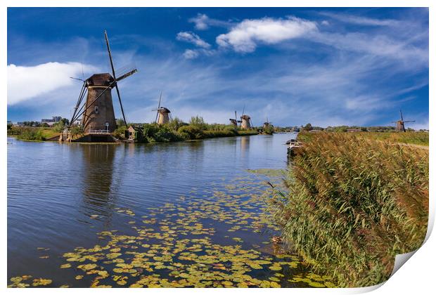 Windmill in Kinderdijk, Holland Print by Olga Peddi