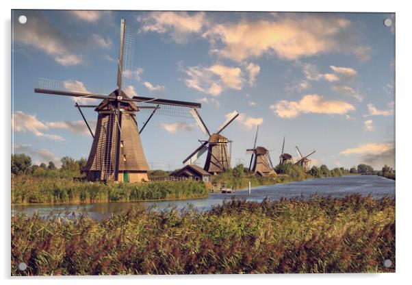 Windmill in Kinderdijk, Holland Acrylic by Olga Peddi
