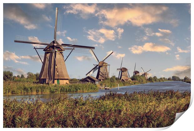Windmill in Kinderdijk, Holland Print by Olga Peddi