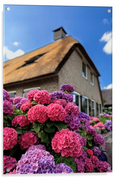 Traditional dutch brick houses in idyllic Giethoor Acrylic by Olga Peddi