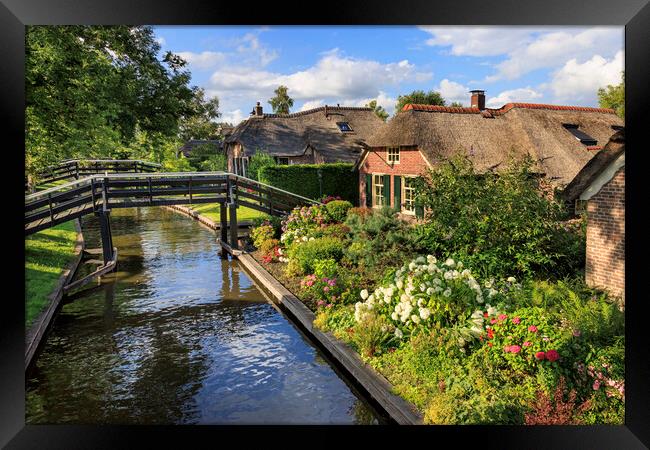 Traditional dutch brick houses with lush green law Framed Print by Olga Peddi