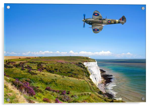 Dover Spitfire  Acrylic by Alison Chambers