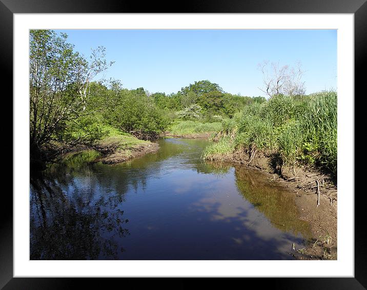 Calm Waters Framed Mounted Print by Rick Senita