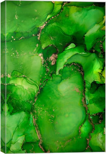 Green Aple Canvas Print by Steffen Gierok-Latniak
