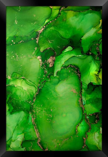 Green Aple Framed Print by Steffen Gierok-Latniak