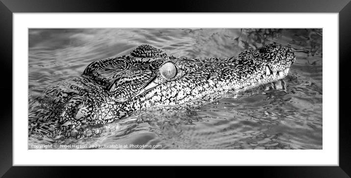 Keeping an eye out Framed Mounted Print by Nigel Higson