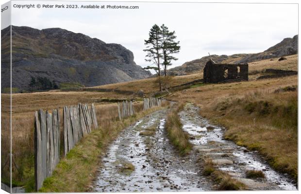 Chapel Cwmorthin Canvas Print by Peter Park