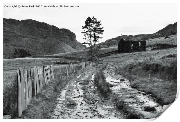 Chapel Cwmorthin in black and white Print by Peter Park