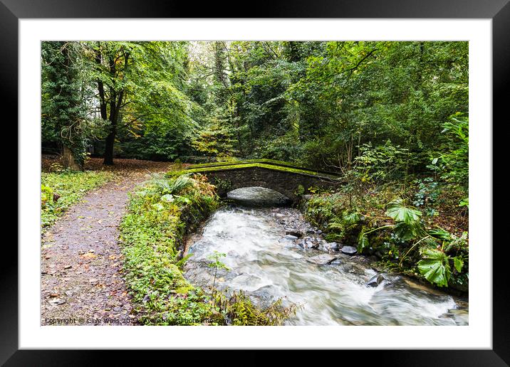 Pretty foot bridge Framed Mounted Print by Clive Wells