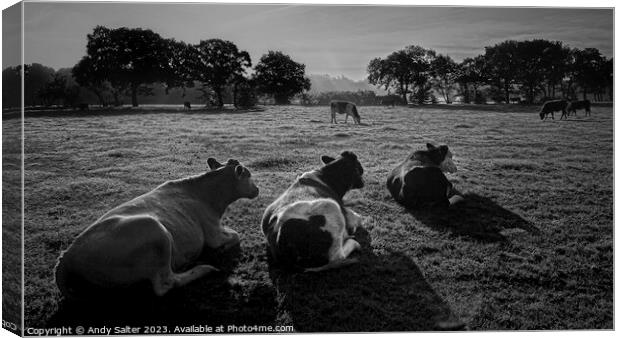 The Three Cows Canvas Print by Andy Salter