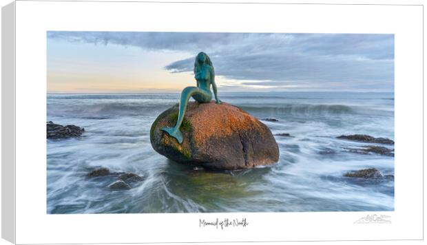 Mermaid of the North  Canvas Print by JC studios LRPS ARPS
