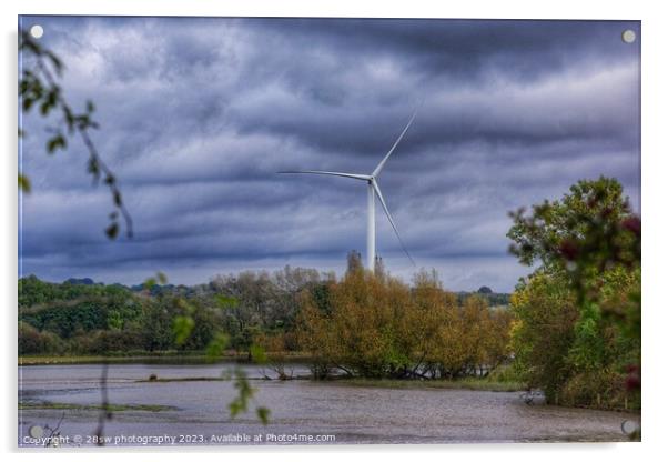 Flooded Beauty. Acrylic by 28sw photography