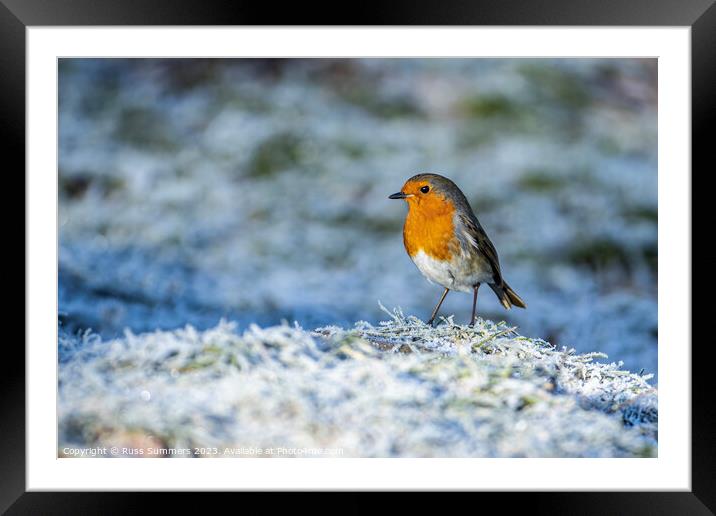 Robin in the frost Framed Mounted Print by Russ Summers