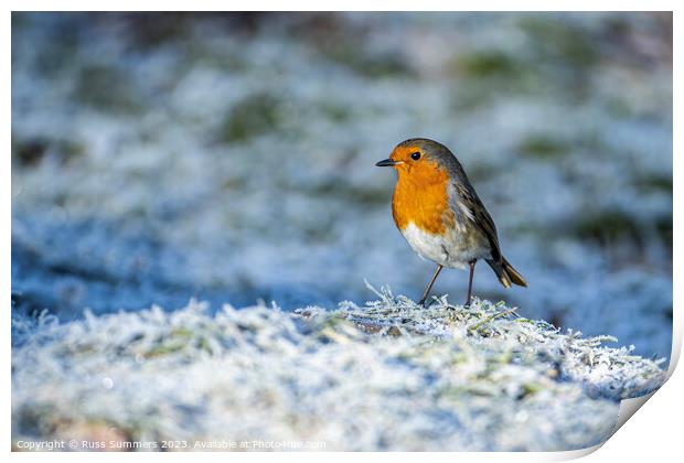 Robin in the frost Print by Russ Summers