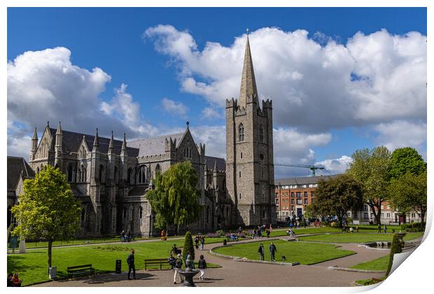 St.Patricks Cathedral Print by Thomas Schaeffer